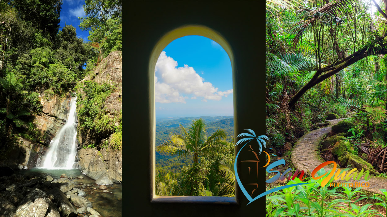 El Yunque Rainforest Tours from San Juan